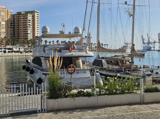 Malaga IMG-20231019-WA0080