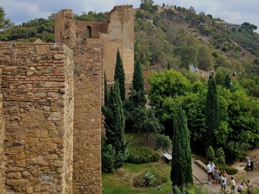 Malaga IMG-20231019-WA0092