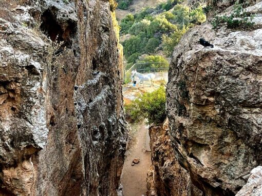 Mijas Spain IMG-20231019-WA0099